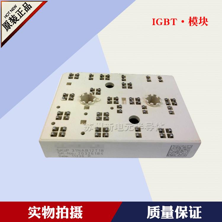 SKiiP39ANB16V1