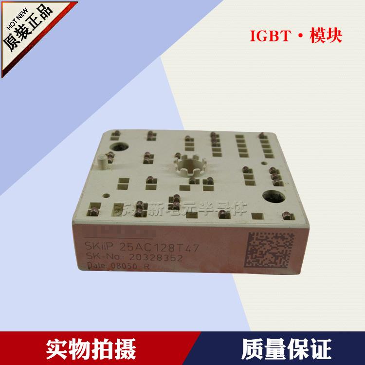 SKiiP25NAB065V10